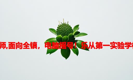 沙滘小学 计算机老师,面向全镇，电脑摇号！乐从第一实验学校初一招生300人...